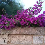 Casetta In Campagna 3*