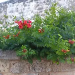 Affittacamere Casetta In Campagna 3*