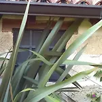 Casetta In Campagna Aradeo