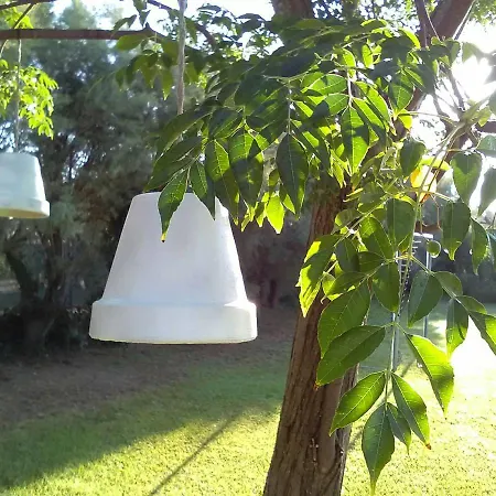 Πανσιόν Casetta In Campagna
