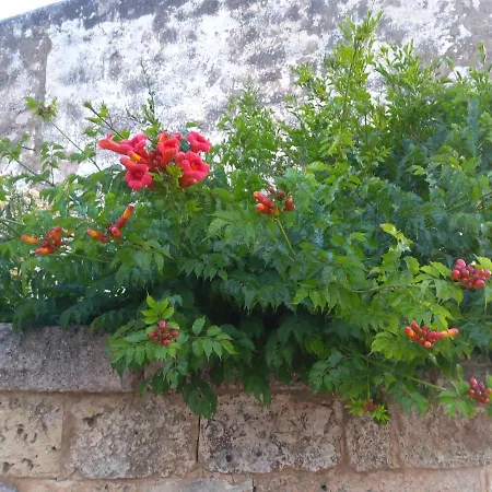 Πανσιόν Casetta In Campagna 3*