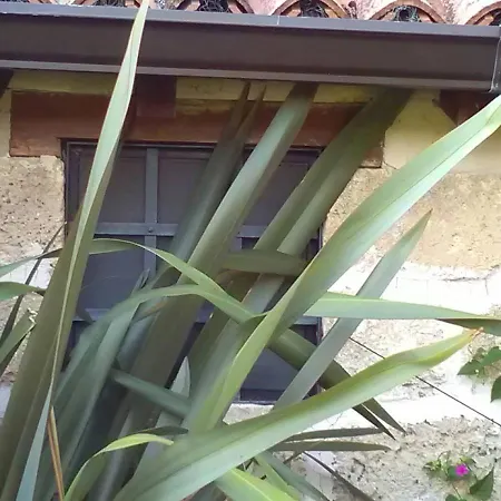 Casetta In Campagna Aradeo
