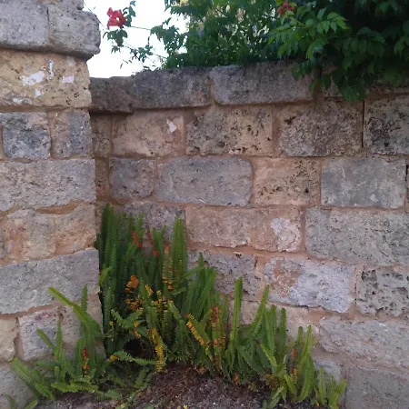 Πανσιόν Casetta In Campagna