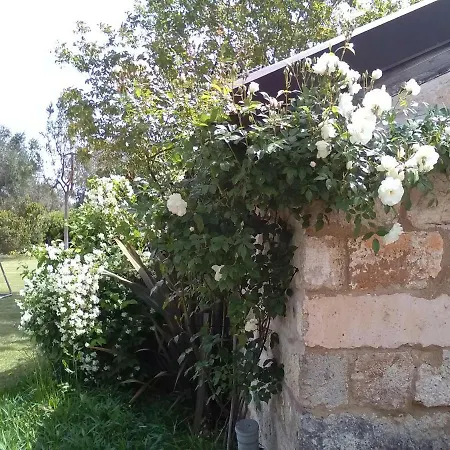 Casetta In Campagna 3* Aradeo