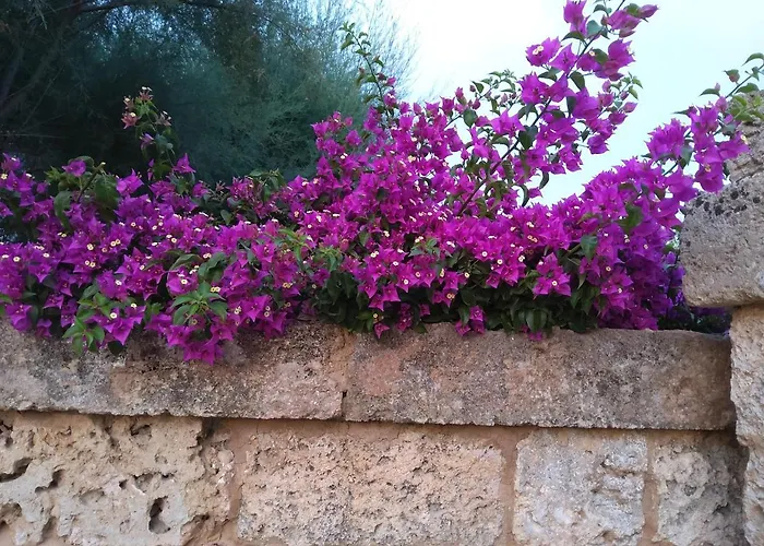 Casetta In Campagna 3*