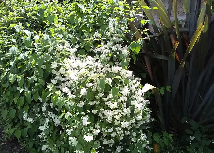 Gæstehus Casetta In Campagna Aradeo