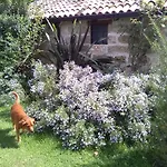 Guest house Casetta In Campagna 3*