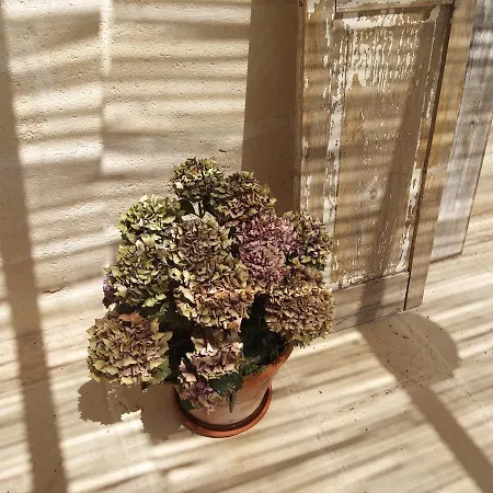 Casetta In Campagna Vendégház Aradeo