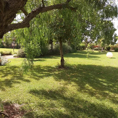 Casetta In Campagna Guest house Aradeo