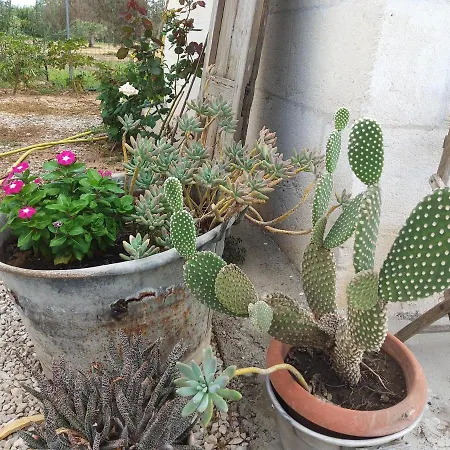 Casetta In Campagna Guest house 2*