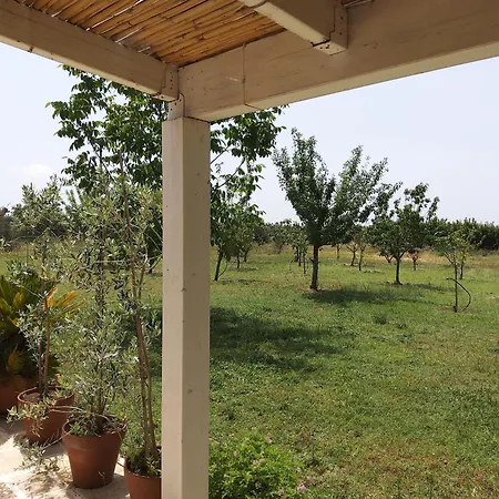 Guest house Casetta In Campagna