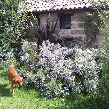 Πανσιόν Casetta In Campagna 3*