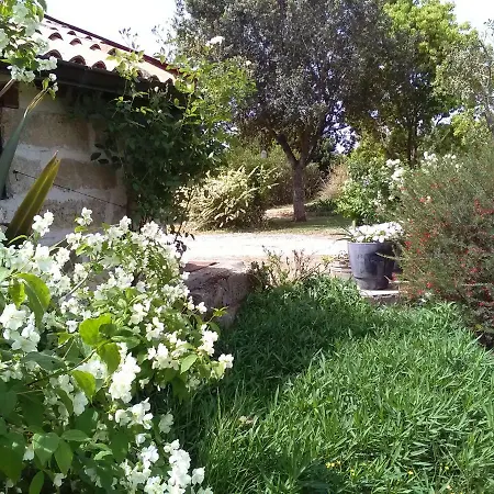 Casetta In Campagna