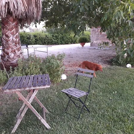 Casetta In Campagna