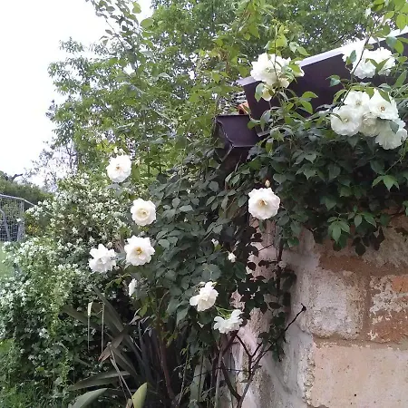 Guest house Casetta In Campagna 2*