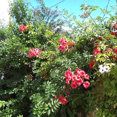 Πανσιόν Casetta In Campagna Aradeo