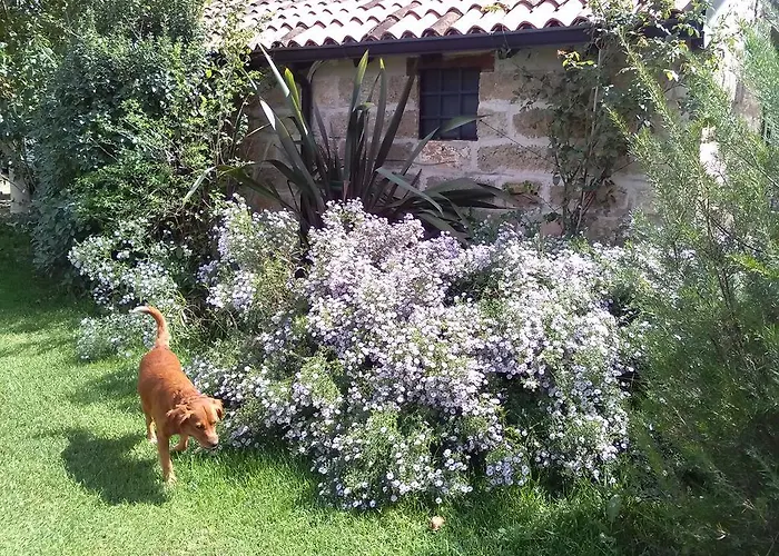 Guest house Casetta In Campagna 3*