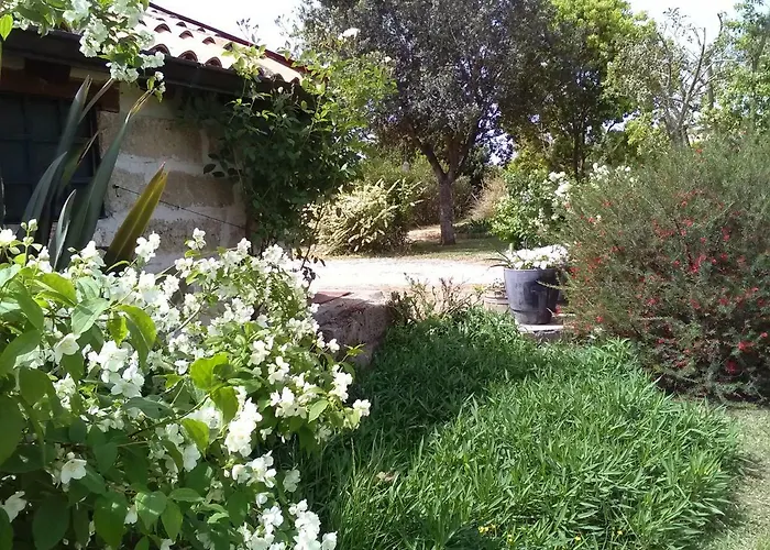 Casetta In Campagna